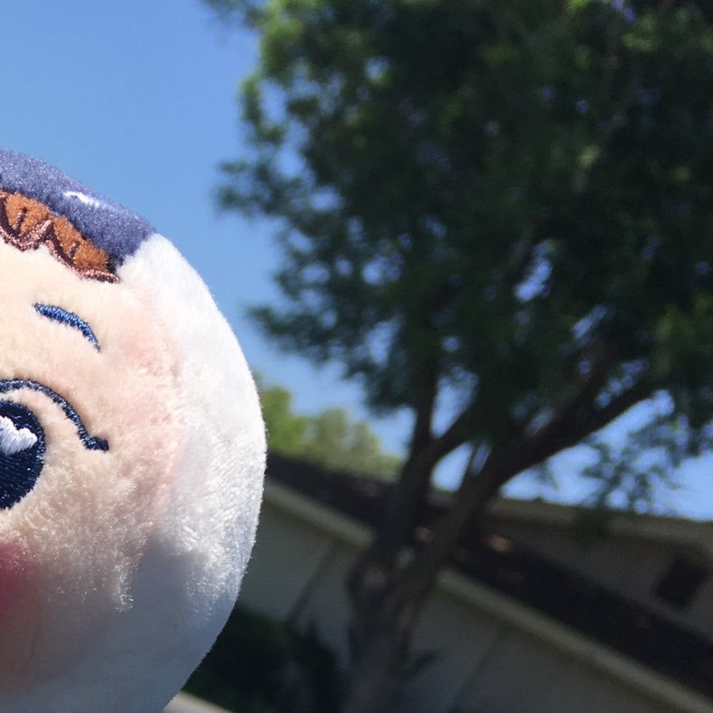 Meet your Posher, Samantha